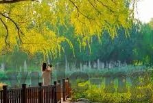 暗示英国世界杯夺冠-暗示英国世界杯夺冠，足球王国的荣耀与梦想