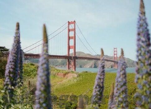 猜中足球大比分-揭秘猜中足球大比分背后的玄机，是运气还是实力？
