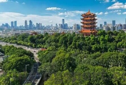 橙汁大厅炸金花坐什么位置-橙汁大厅炸金花，位置的艺术
